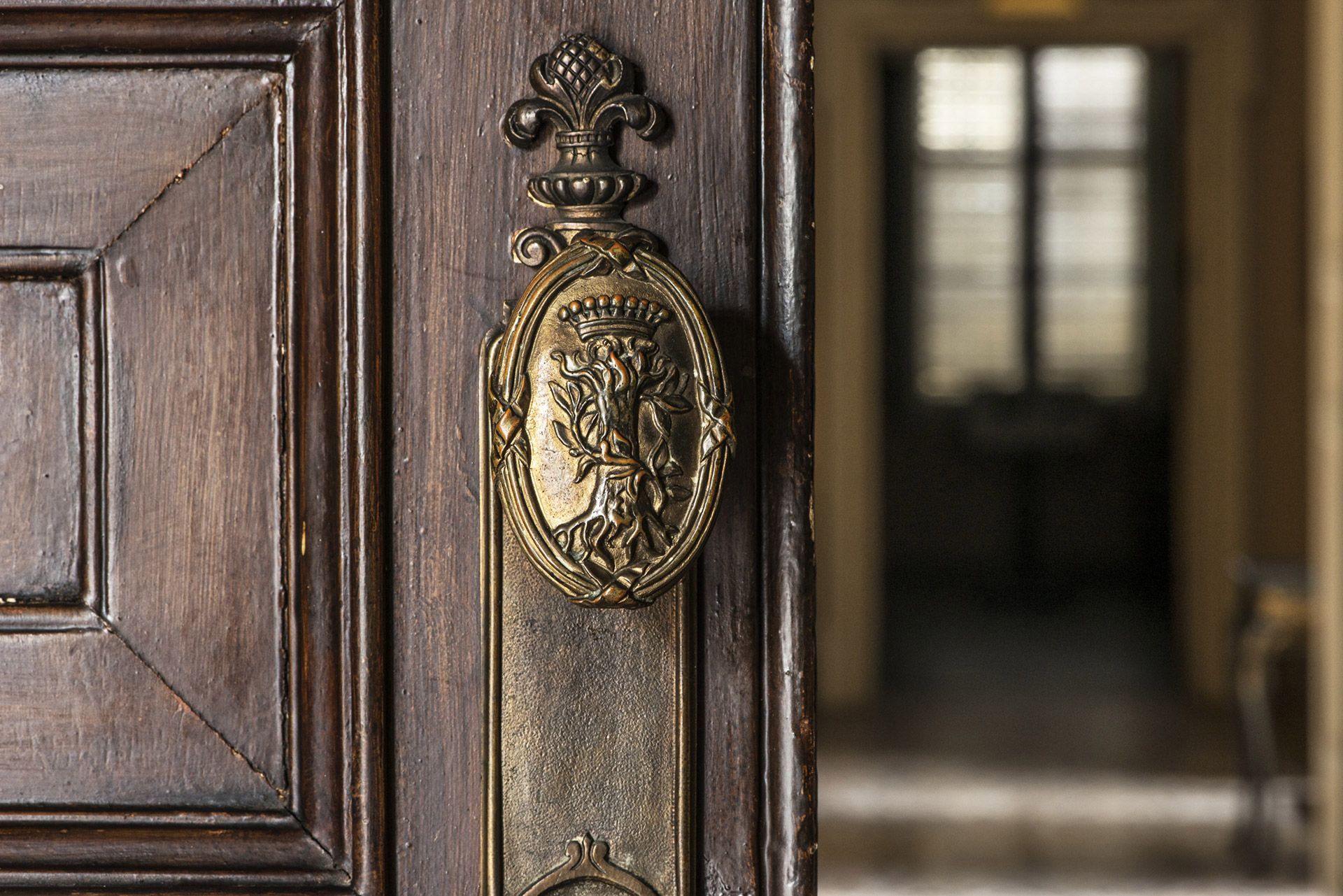 Miniscalchi coat of arms - detail of a doorknob